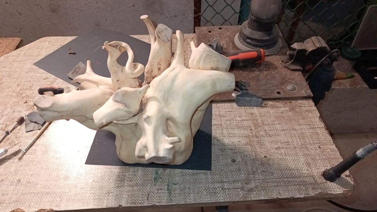 Korzeń jałowca po woskowaniu